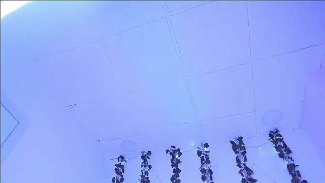 SophieHill gh online show from January 2025 01:27:01 AM