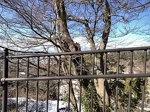 ge3noxxx online show from January 2026 02:36:01 AM