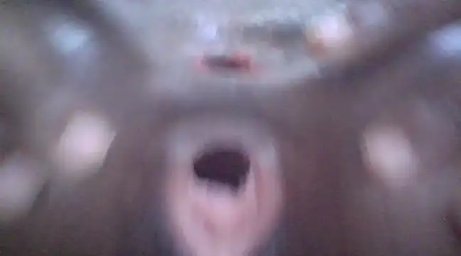 petitev online show from January 2025 04:11:02 AM