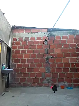 ariana d20 online show from March 2025 10:53:01 PM