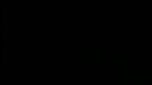 SensualJane2 online show from January 2025 06:13:02 AM