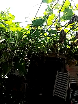 Putaepirocudo online show from April 2026 12:55:01 PM