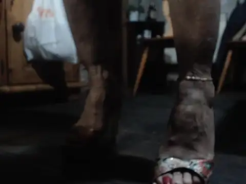 eva2023sexy online show from February 2026 09:08:02 PM