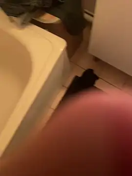 dimitriei online show from December 2024 12:08:01 AM