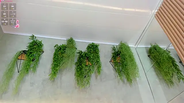 Lana Lann online show from January 2025 06:01:02 PM