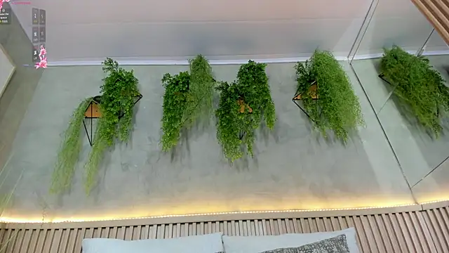 Lana Lann online show from February 2025 12:38:02 PM