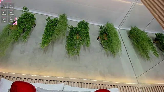 Lana Lann online show from February 2025 11:58:01 AM