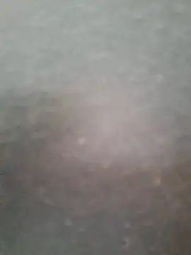 Alice atm online show from March 2025 02:36:01 PM