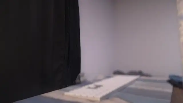 Snapshot of flexingplexico chatting on December 2024 09:13:01 AM flexingplexico online show from December 2024 09:13:01 AM