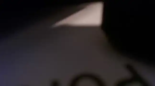 Snapshot of flexingplexico chatting on December 2024 04:04:02 PM flexingplexico online show from December 2024 04:04:02 PM