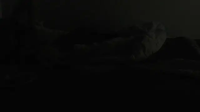 Snapshot of flexingplexico chatting on January 2025 07:13:02 PM flexingplexico online show from January 2025 07:13:02 PM