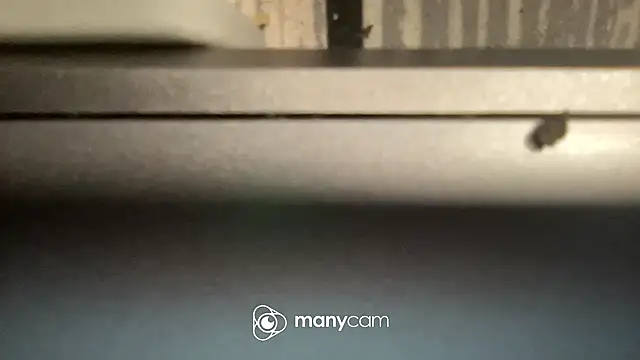 Snapshot of flexingplexico chatting on February 2025 11:43:02 AM flexingplexico online show from February 2025 11:43:02 AM