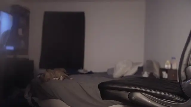 Snapshot of flexingplexico chatting on March 2025 11:17:01 AM flexingplexico online show from March 2025 11:17:01 AM