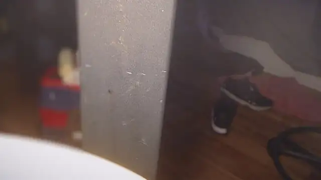 Snapshot of flexingplexico chatting on March 2025 05:27:02 PM flexingplexico online show from March 2025 05:27:02 PM