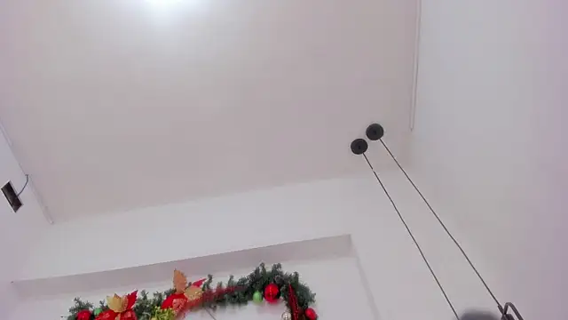 penelope handaos online show from December 2024 09:46:01 AM