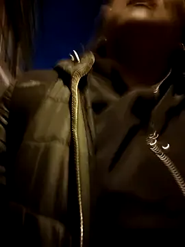 kitty 84 online show from February 2025 11:48:01 PM