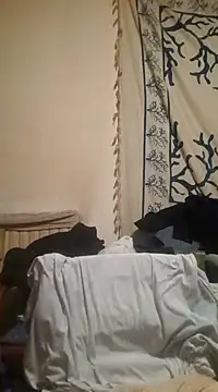 felice66 online show from December 2024 04:18:01 AM