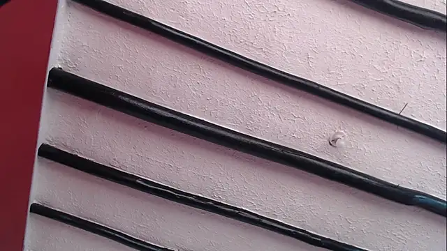 Freyja eter online show from December 2024 01:55:02 PM