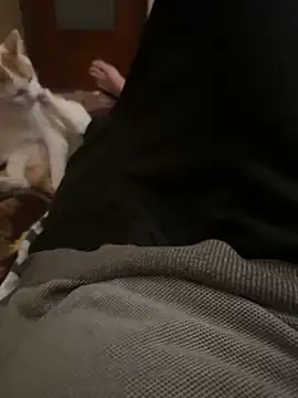 Snapshot of bigboy30X chatting on October 2025 04:19:02 PM bigboy30X online show from October 2025 04:19:02 PM