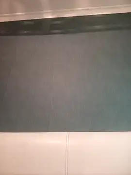 Gussie Bridie online show from December 2024 11:22:02 AM