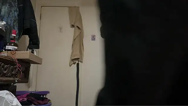 pipeload1275 online show from March 2026 03:24:01 AM