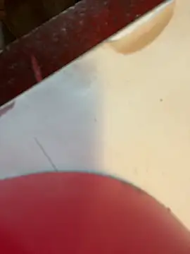 joeycbigcock online show from January 2025 03:19:01 PM