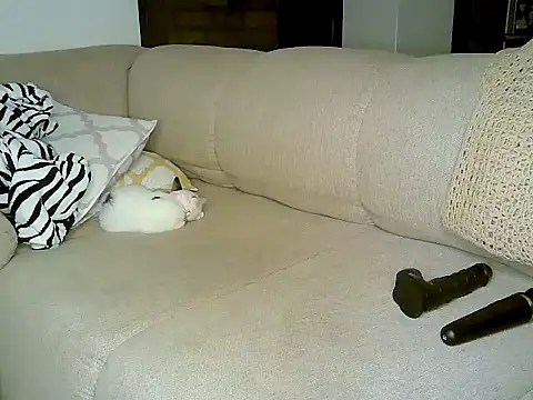 ebony spicy69 online show from October 2025 12:13:02 PM