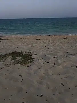 blacks couples online show from February 2025 03:06:01 PM