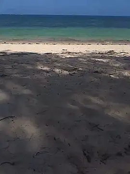 blacks couples online show from February 2026 12:26:01 PM