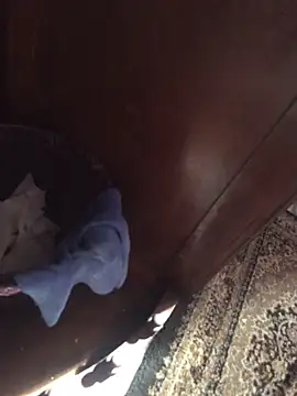 Snapshot of TangoingSorbet chatting on November 2025 10:17:01 AM TangoingSorbet online show from November 2025 10:17:01 AM