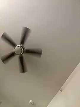 Snapshot of goldbuni chatting on December 2024 02:49:02 PM goldbuni online show from December 2024 02:49:02 PM