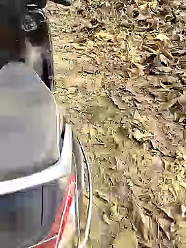 Snapshot of 88karan88 chatting on December 2024 04:44:01 AM 88karan88 online show from December 2024 04:44:01 AM