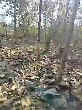 Snapshot of 88karan88 chatting on December 2024 04:58:02 AM 88karan88 online show from December 2024 04:58:02 AM