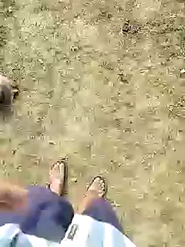 Snapshot of 88karan88 chatting on December 2024 04:09:02 AM 88karan88 online show from December 2024 04:09:02 AM