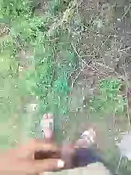 Snapshot of 88karan88 chatting on January 2025 09:03:01 AM 88karan88 online show from January 2025 09:03:01 AM