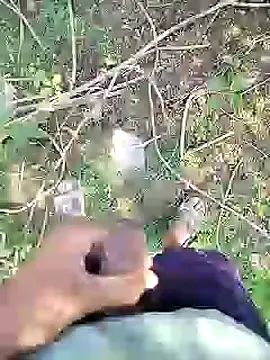 Snapshot of 88karan88 chatting on January 2025 05:26:02 AM 88karan88 online show from January 2025 05:26:02 AM