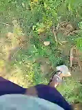 Snapshot of 88karan88 chatting on January 2025 03:37:02 AM 88karan88 online show from January 2025 03:37:02 AM