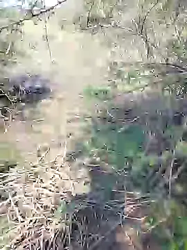 Snapshot of 88karan88 chatting on January 2025 08:10:02 AM 88karan88 online show from January 2025 08:10:02 AM