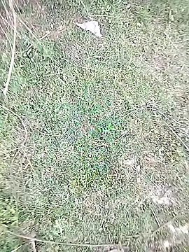 Snapshot of 88karan88 chatting on February 2025 10:28:02 AM 88karan88 online show from February 2025 10:28:02 AM