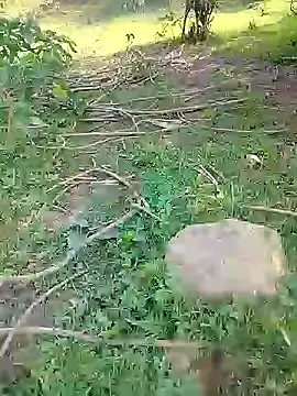 Snapshot of 88karan88 chatting on February 2025 03:55:02 AM 88karan88 online show from February 2025 03:55:02 AM