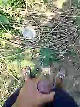 Snapshot of 88karan88 chatting on February 2025 06:58:02 AM 88karan88 online show from February 2025 06:58:02 AM