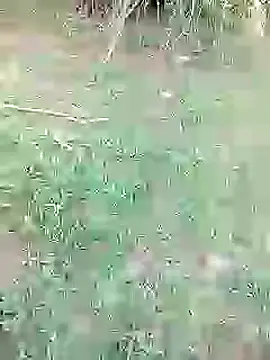 Snapshot of 88karan88 chatting on February 2025 10:58:02 AM 88karan88 online show from February 2025 10:58:02 AM