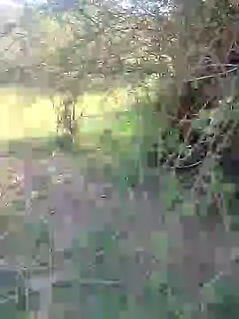 Snapshot of 88karan88 chatting on February 2025 03:47:02 AM 88karan88 online show from February 2025 03:47:02 AM