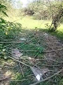 Snapshot of 88karan88 chatting on March 2025 05:09:01 AM 88karan88 online show from March 2025 05:09:01 AM