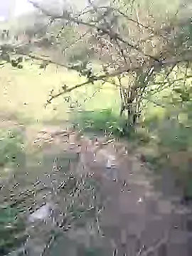 Snapshot of 88karan88 chatting on March 2025 04:38:02 AM 88karan88 online show from March 2025 04:38:02 AM