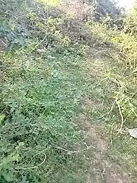 Snapshot of 88karan88 chatting on March 2025 10:46:01 AM 88karan88 online show from March 2025 10:46:01 AM