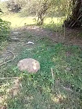 Snapshot of 88karan88 chatting on March 2025 04:34:02 AM 88karan88 online show from March 2025 04:34:02 AM