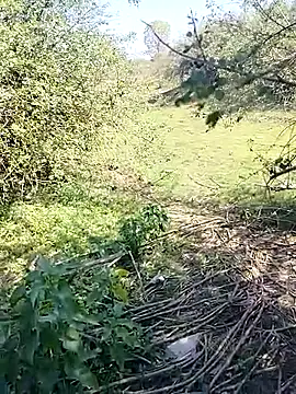 Snapshot of 88karan88 chatting on March 2025 04:24:02 AM 88karan88 online show from March 2025 04:24:02 AM