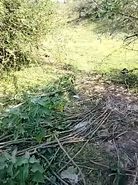 Snapshot of 88karan88 chatting on March 2025 04:43:02 AM 88karan88 online show from March 2025 04:43:02 AM