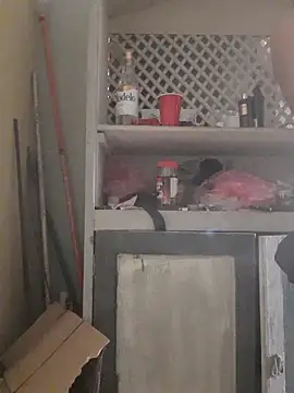 theDemente18 online show from November 2025 03:49:01 PM